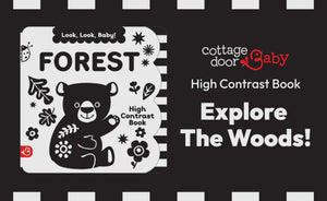 Look, Look, Baby! Forest Book