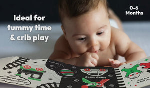 Look, Look, Baby! Playtime Book