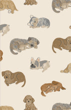 Load image into Gallery viewer, Napping Puppies 2-Way Zipper Footie