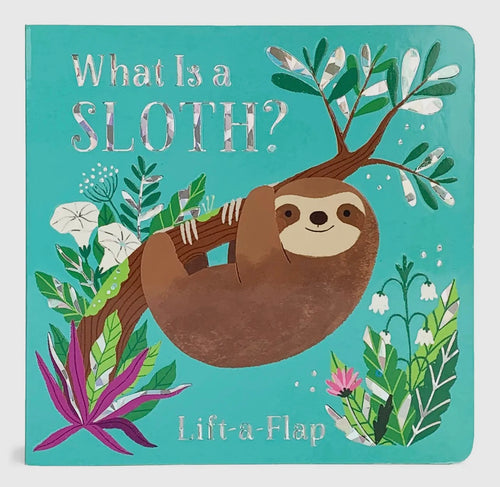 What Is A Sloth Baby & Toddler Book