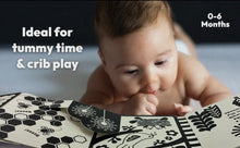 Load image into Gallery viewer, Look, Look, Baby! Forest Book