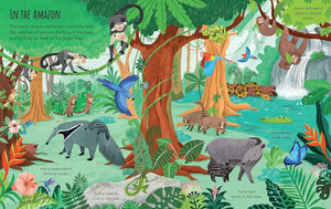 Nature & Planet Earth First Sticker Book