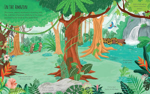 Nature & Planet Earth First Sticker Book