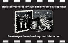 Load image into Gallery viewer, Look, Look, Baby! Forest Book